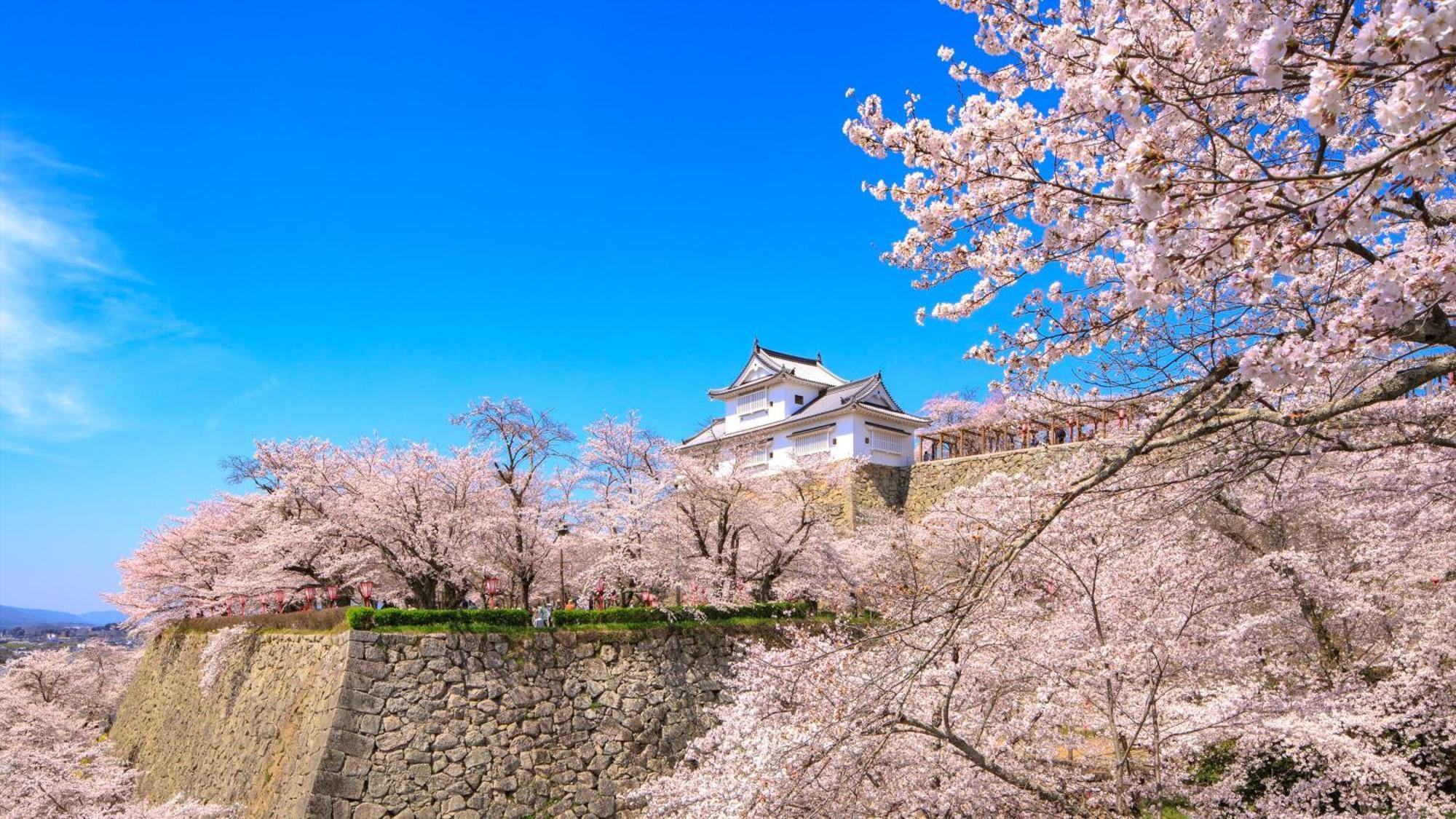Ana Crowne Plaza Okayama By Ihg Hotel Exterior foto